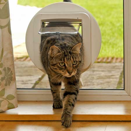 Sureflap Microchip Door Glass Adapter Auckland Dog Doors