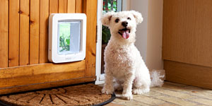 Microchip activated 2024 dog door